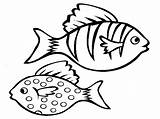 Fish Clipart Coloring Outlines Pages Children Kids Printable Library sketch template