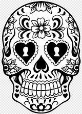 Caveira Skulls Calavera Desenho Calaca Tattoo Skeleton Thecraftedsparrow Caveiras Chicano Totenkopf Getdrawings Moziru Pngwing Colouring Dragoart Scull Clipartmag sketch template