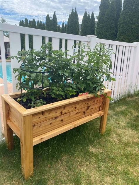 Cedar Planter Plan Raised Planter Box Planter Box Plans Etsy