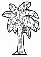 Banana Tree Coloring Drawing Clipart Plant Bunch Pages Clip Colouring Trees Cliparts Kids Netart Getdrawings Line Library sketch template