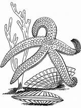 Starfish Coloring Pages Star Sea Fish Color Colouring Printable Print Kids Getcolorings Recommended sketch template