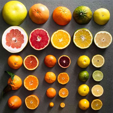 citrus  field guide  oranges lemons limes