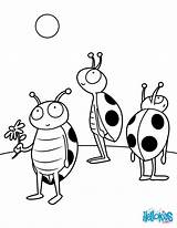Ladybug Vinpearl Miraculous Einzigartig Hummel Animal Ausdrucken Marienkafer Insects Vorlage Farben Hellokids Getdrawings Coloringonly sketch template
