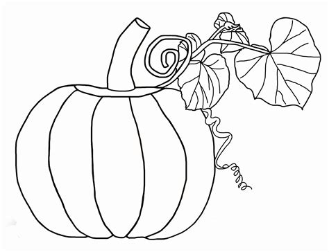 pumpkin coloring pages  print    pumpkin