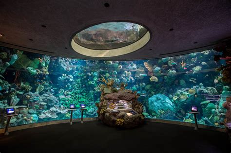worlds largest aquariums aims  cut energy