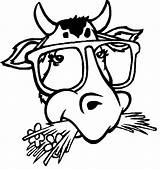 Cow Vaca Colorat Stieren Desene Taureau Kleurplaten Coloriages Kleurplaat Stiere Malvorlagen Planse Taureaux Animale Animaux Cows Animaatjes Malvorlage Vacute Malvorlagen1001 sketch template