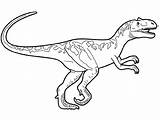 Colorir Dinossauro Desenhos Dinossauros Majungasaurus Fargelegg sketch template