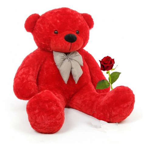 big red teddy bear rose