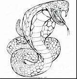 Cobra King Coloring Printable Drawing Pages Diamondback Rattlesnake Snake Drawings Serpent Clipartmag Getdrawings Template sketch template