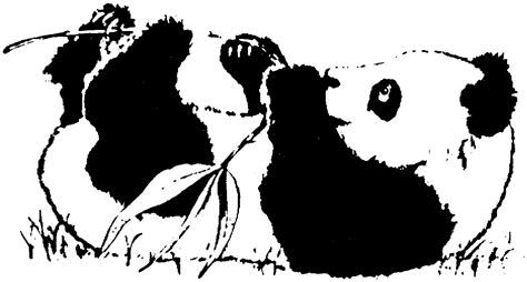 ocra   printable panda bear coloring pages png examines