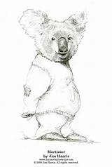 Bear Coloring Pages Koala Sketches Color sketch template