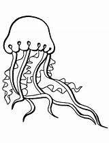Jellyfish Coloring Ocean Octopus Book Cartoon Coloringpagebook Advertisement sketch template