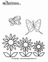 Spring Coloring Butterflies Pages Printable Seasonal Printables Thank Please sketch template