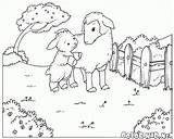 Sheep Coloring Lamb Pages Goats Spring Colouring Printable Template Color Nature sketch template