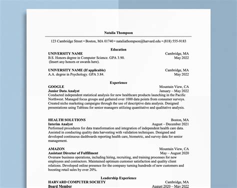 classic harvard resume template  word professional clean cv