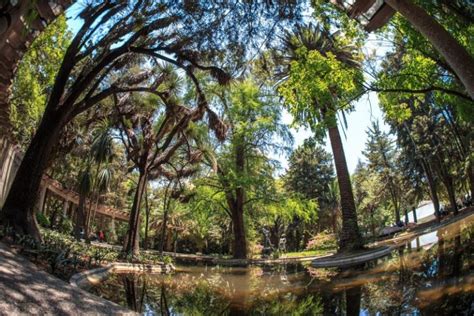 El Jardín Con Más Vida En El Bosque De Chapultepec Pro Bosque Chapultepec