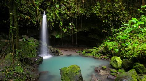 The Best Water Activities In Dominica