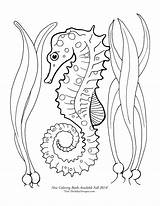 Seahorse Coloring Pages Horse Drawing Color Printable Cute Sea Adult Google Mermaid Outline Kids Draw Print Getdrawings Detailed Choose Board sketch template