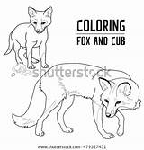 Fox Cub Coloring Vector Shutterstock Stock Preview sketch template