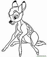 Bambi Coloring Thumper Pages Flower Library Book Deer Popular sketch template