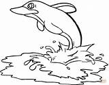 Coloring Dolphin Pages Sea Drawing sketch template