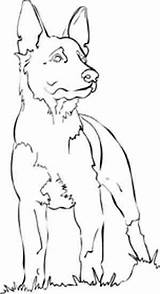 Coloring Pages Dog German Shepherd Dogs Drawings Outline Drawing Shepherds Face Sketch Printable Line Working Puppy Cartoon Pencil Book K9 sketch template