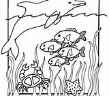 Aquarium Coloring Pages Sea Getdrawings sketch template