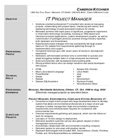sample  project manager resume templates  ms word