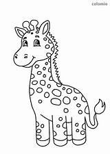 Giraffe Colomio sketch template