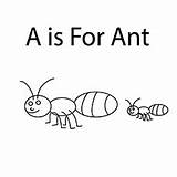 Coloring Ant Ants Pages Printables Printable Toddler Based Theme Will sketch template