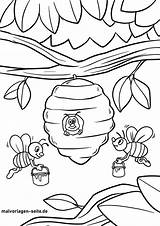 Biene Bienen Malvorlage Malvorlagen Ausmalen Kostenlos Pollen Sammeln Insekten sketch template