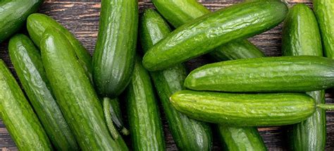 burpless cucumbers     regular varieties