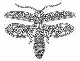 Lightning Bugs Firefly Zentangle sketch template
