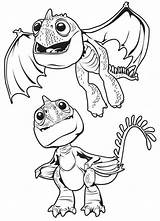 Dragon Ohnezahn Drachen Toothless Drucken Malvorlagen Occuper Krokmou Papa Coloriages Enfant Httyd sketch template