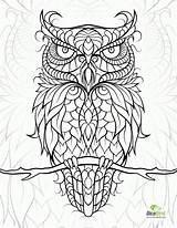 Coloring Adult Pages Print Owl Popular Printable sketch template