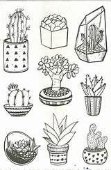 Kaktus Ausmalbilder Imprimir Kakteen sketch template