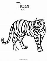 Tiger Coloring Worksheet Stripes Drawing Harimau Has Lsu Sheet Print Pages Outline Book Animals Tracing Gung Choy Hay Fat Twisty sketch template