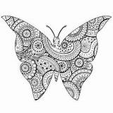 Papillon Farfalle Zentangle Erwachsene Mariposas Insectos Adulti Schmetterlinge Insetti Insekten Insectes Malbuch Adults Coloriage Avec Insects Colorier Justcolor Stampare Papillons sketch template