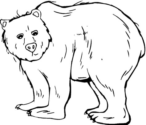 grizzly bear coloring  animal coloring pages sheets grizzly bear