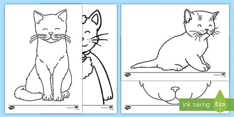 kittens  cats colouring sheets printable sheets