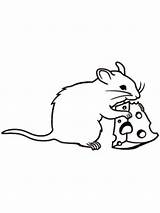Rat Mice Rats Mole Gaddynippercrayons Bulkcolor sketch template
