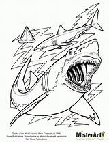 Shark Hungry Coloring Pages Getdrawings sketch template