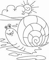 Snail Coloring Pages Sun Falling Gary Rising Kids Cp Printable Getcolorings Print sketch template