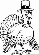 Turkey Coloring Hat Wearing Thanksgiving Pages Printable Color Coloringpages101 sketch template