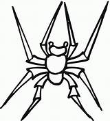 Spider Coloring Pages Printable Widow Wolf Spiders Kids Cute Drawing Bus Little Marvel Designlooter Plane Try Bestcoloringpagesforkids 77kb 1191 sketch template