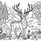 Deer Coloring Pages Animals Print Printable sketch template