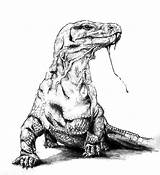 Komodo Sketsa Comodo Gambar Reptiles Sketch Lukisan Kanvas Indominus Jurassic sketch template