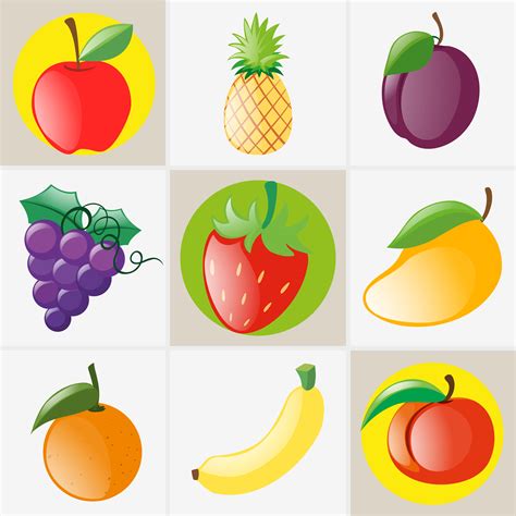 types  fruits  vector art  vecteezy