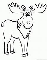 Moose Coloring Pages Print sketch template