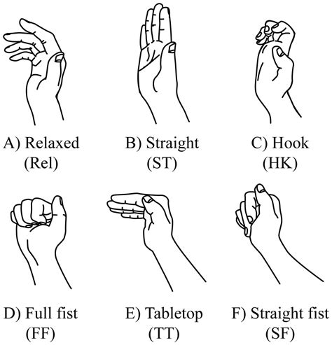 deformation   median nerve   finger postures  wrist angles peerj